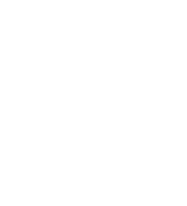 No AI