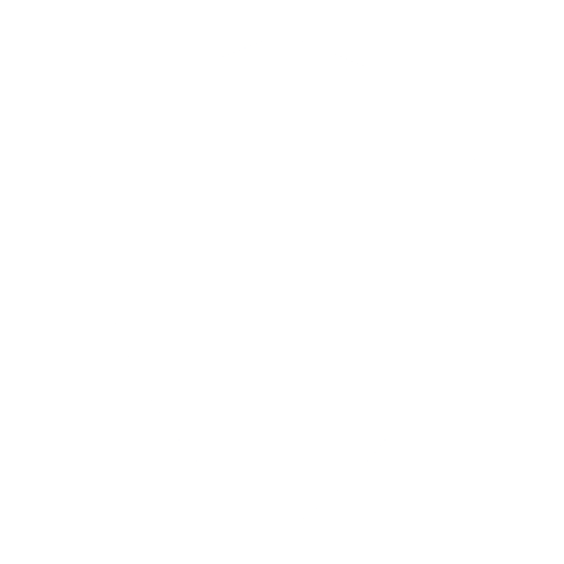Shield Icon