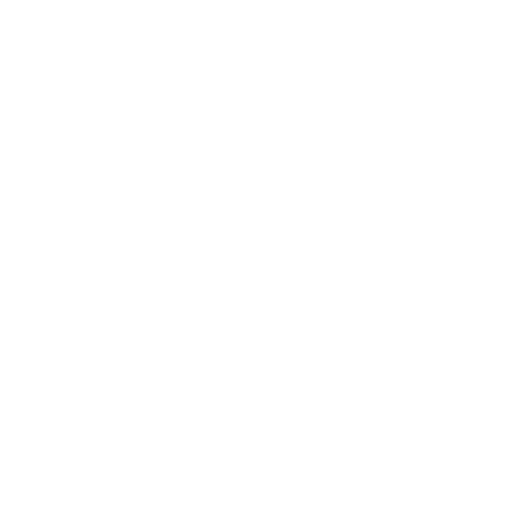 Turtle Icon
